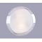 НПБ РС22064 WT/2C (D300), 2хЕ27